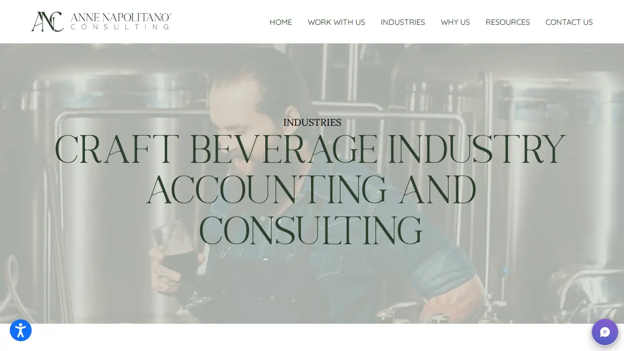 Anne Napolitano Consulting, Inc. - Business Accounting & Advisory Services page
