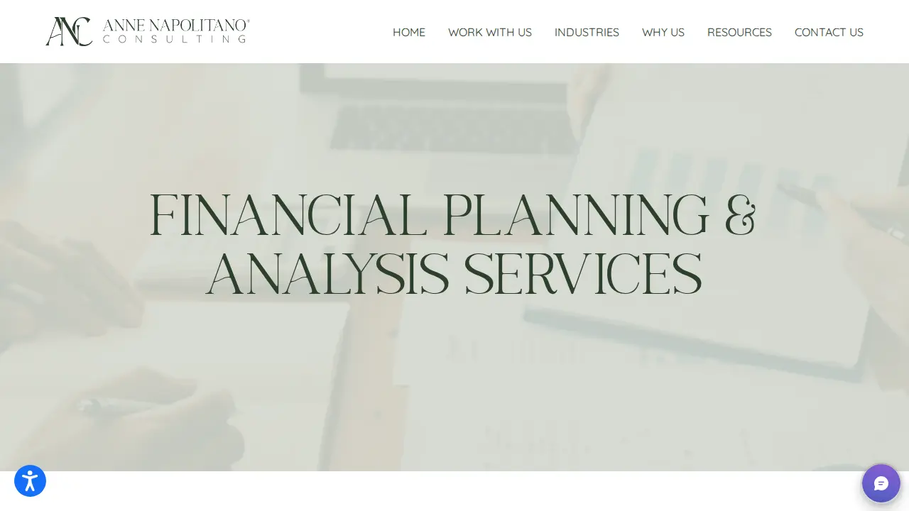 Anne Napolitano Consulting, Inc. - Business Accounting & Advisory Services page