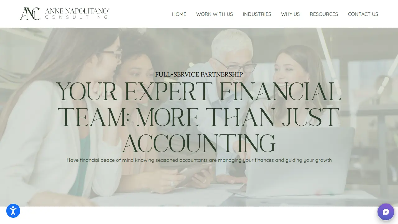 Anne Napolitano Consulting, Inc. - Business Accounting & Advisory Services page