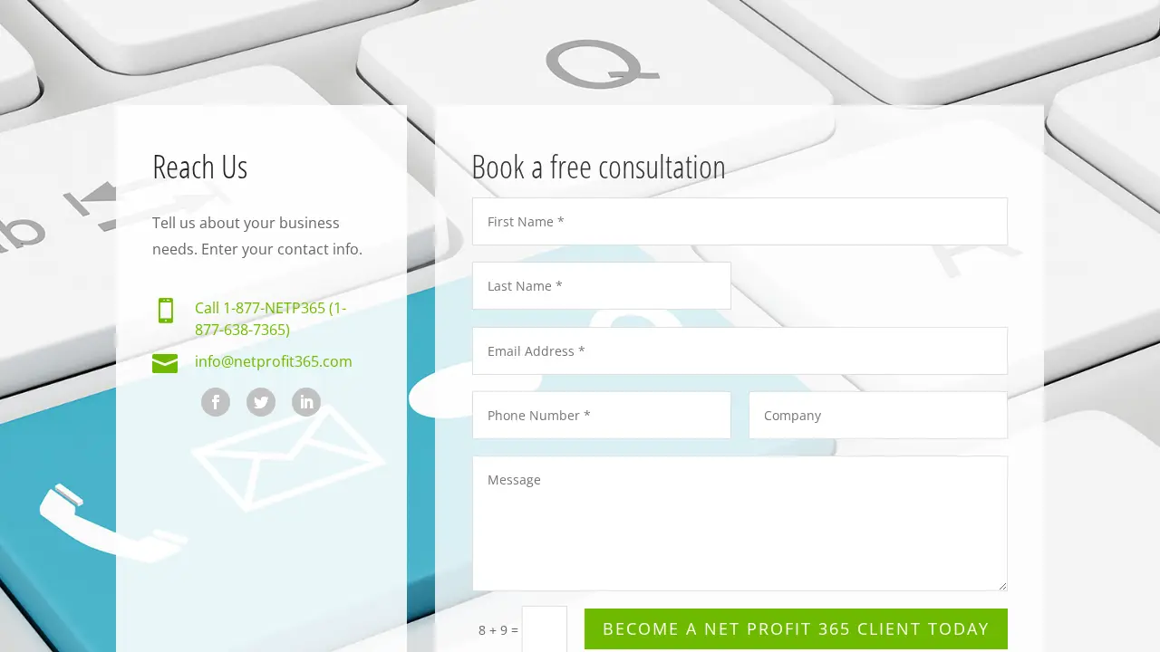 NetProfit365 Inc. page