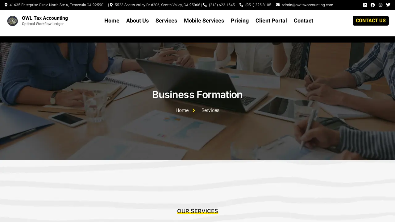 Owl Tax Accounting page