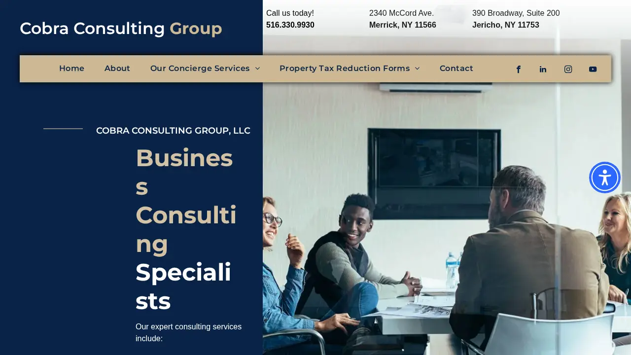 Cobra Consulting Group