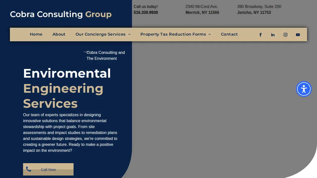 Cobra Consulting Group page