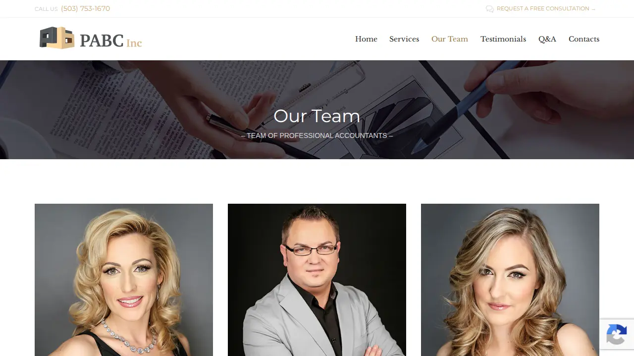 Professional Accounting & Business Consulting Inc. page