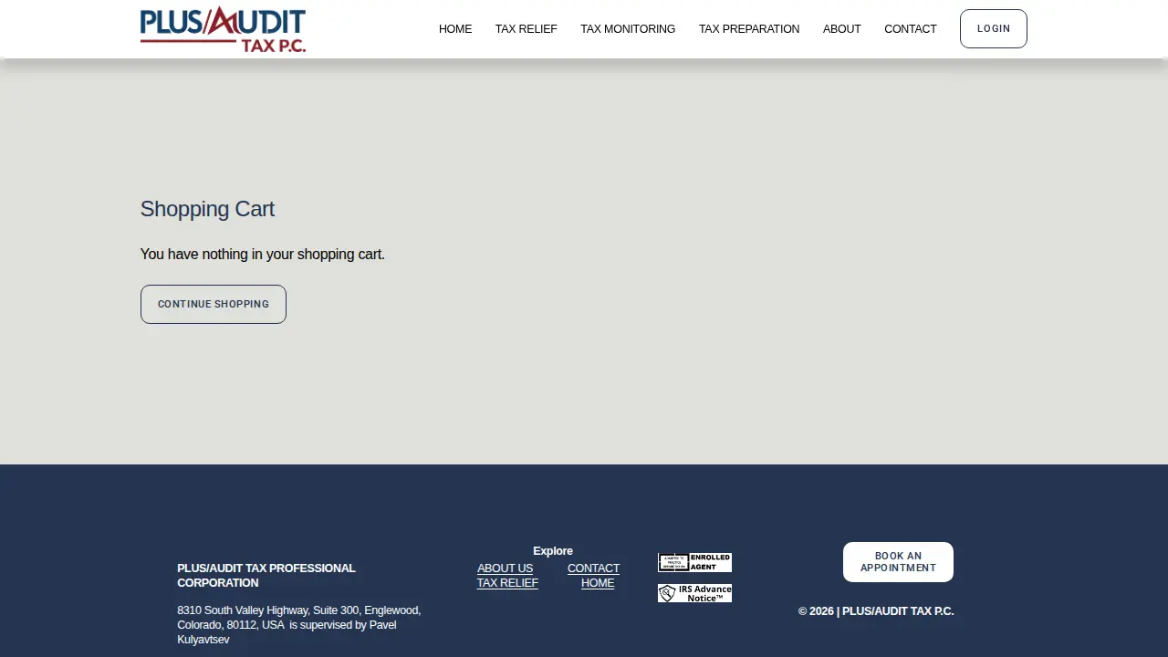 PLUS/AUDIT TAX P.C. page