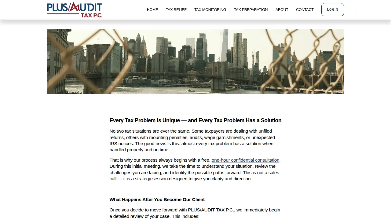 PLUS/AUDIT TAX P.C. page