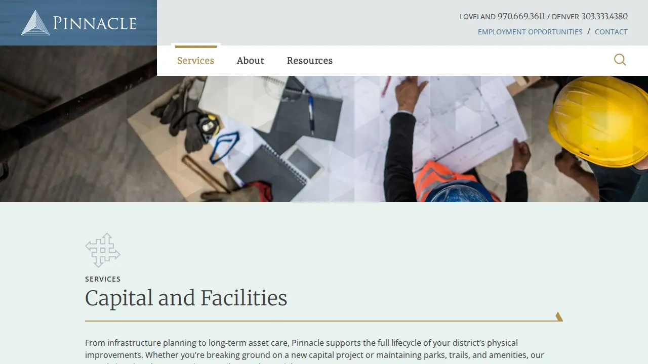 Pinnacle Consulting page