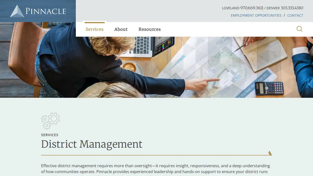 Pinnacle Consulting page
