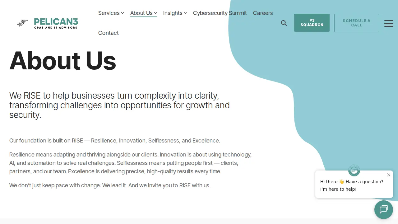 Pelican3 Consulting LLC page
