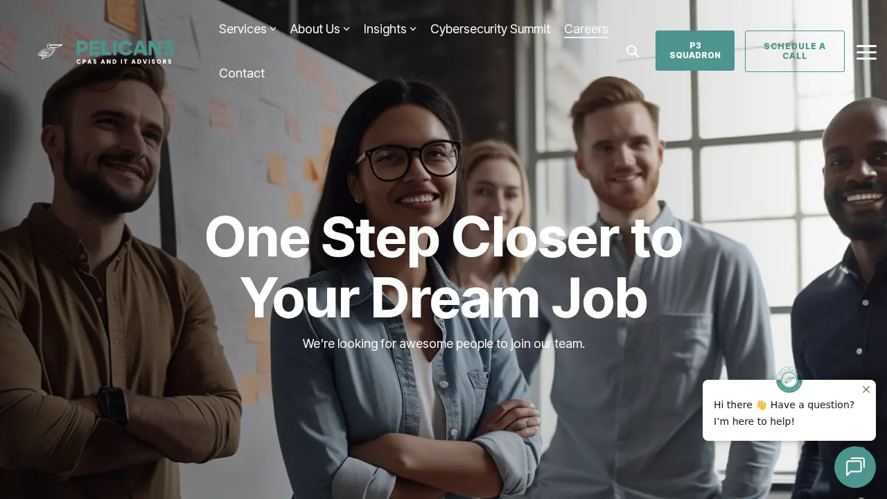 Pelican3 Consulting LLC page