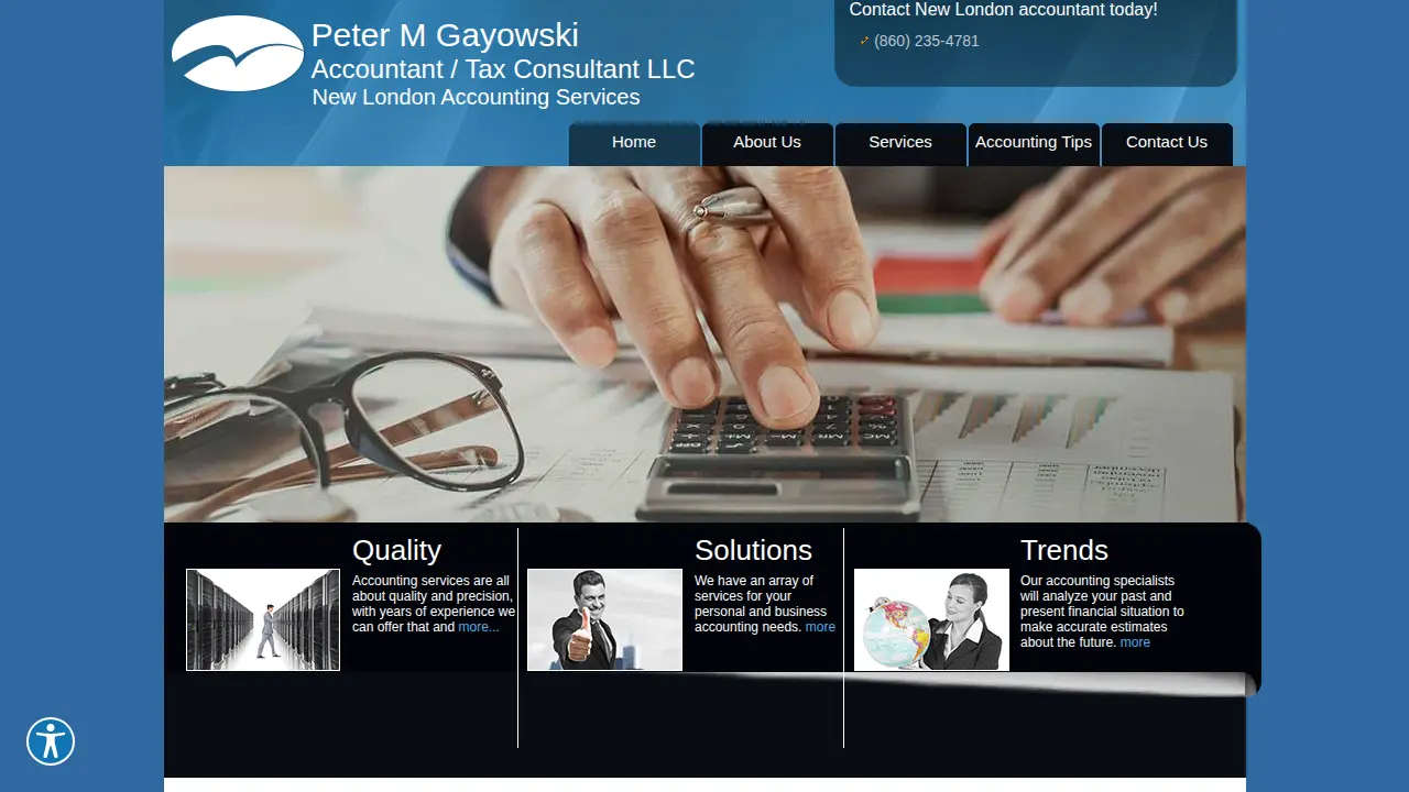 Peter M Gayowski Tax Consultants