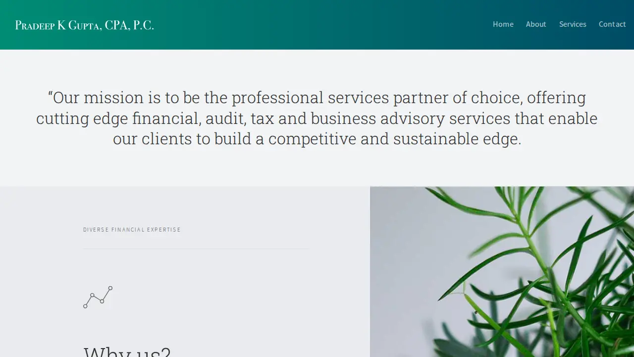 Pradeep K Gupta, CPA, PC page