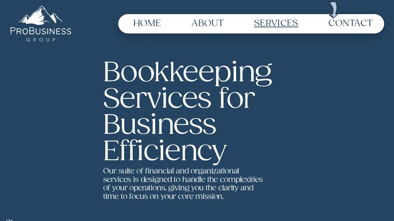 ProBusiness Group page