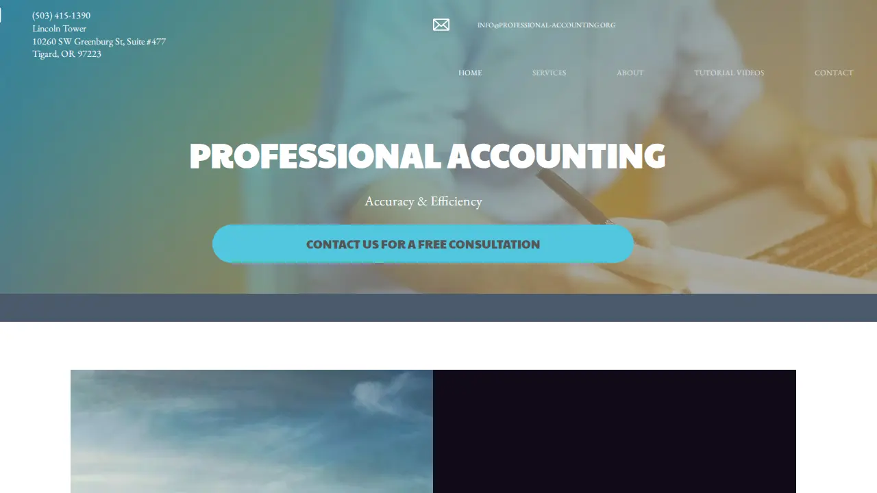 Professional Accounting LLC