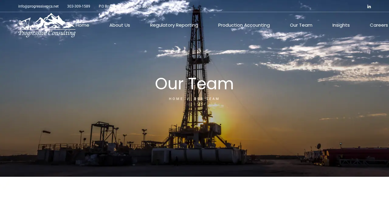 Progressive Consulting page