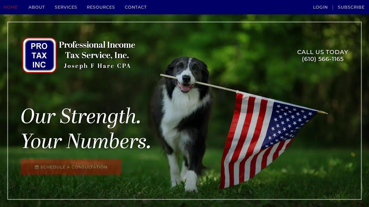 Professional Income Tax Service