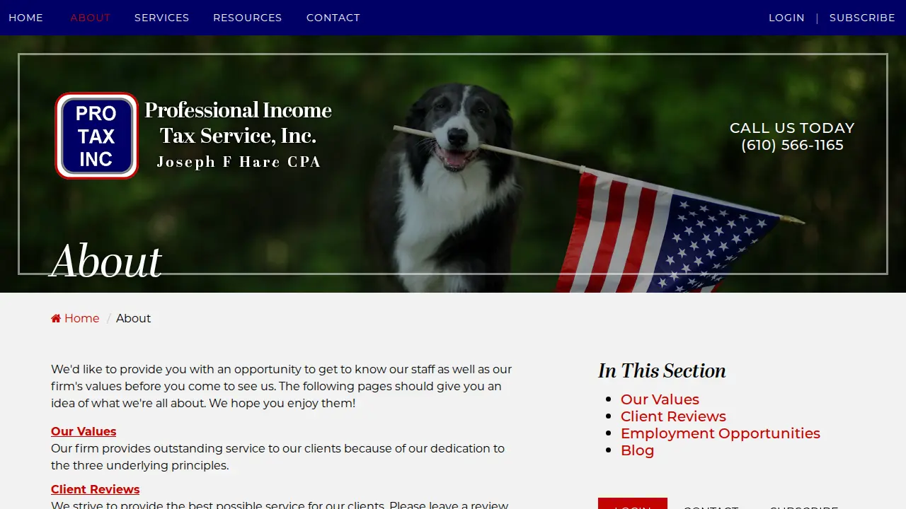 Professional Income Tax Service page