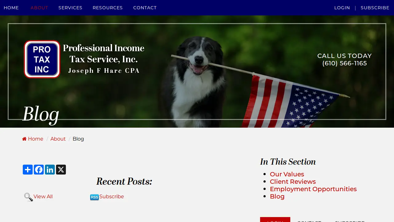 Professional Income Tax Service page