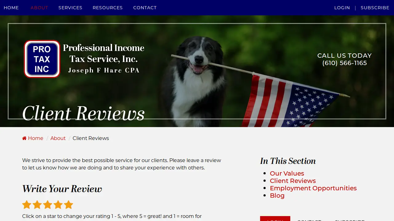 Professional Income Tax Service page