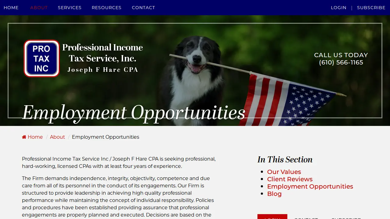 Professional Income Tax Service page