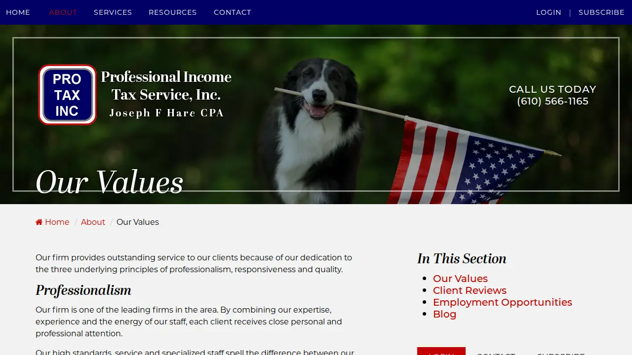 Professional Income Tax Service page