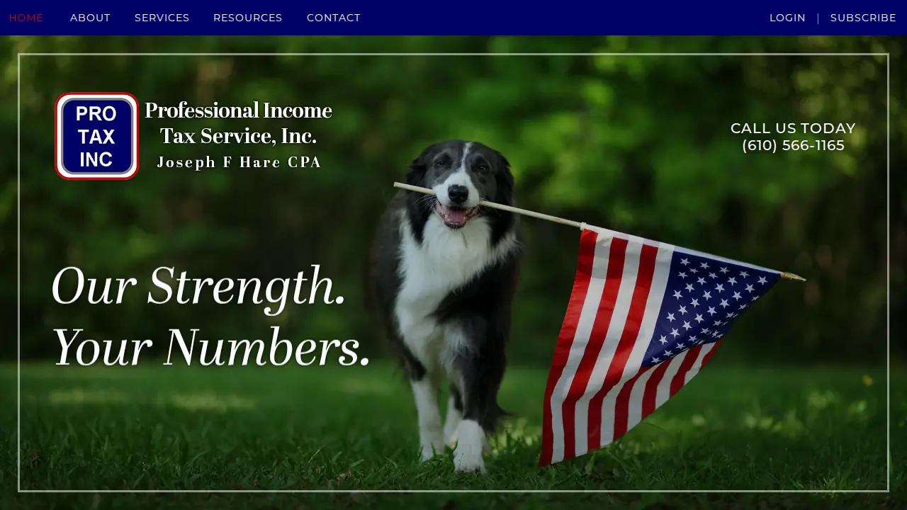 Professional Income Tax Service page
