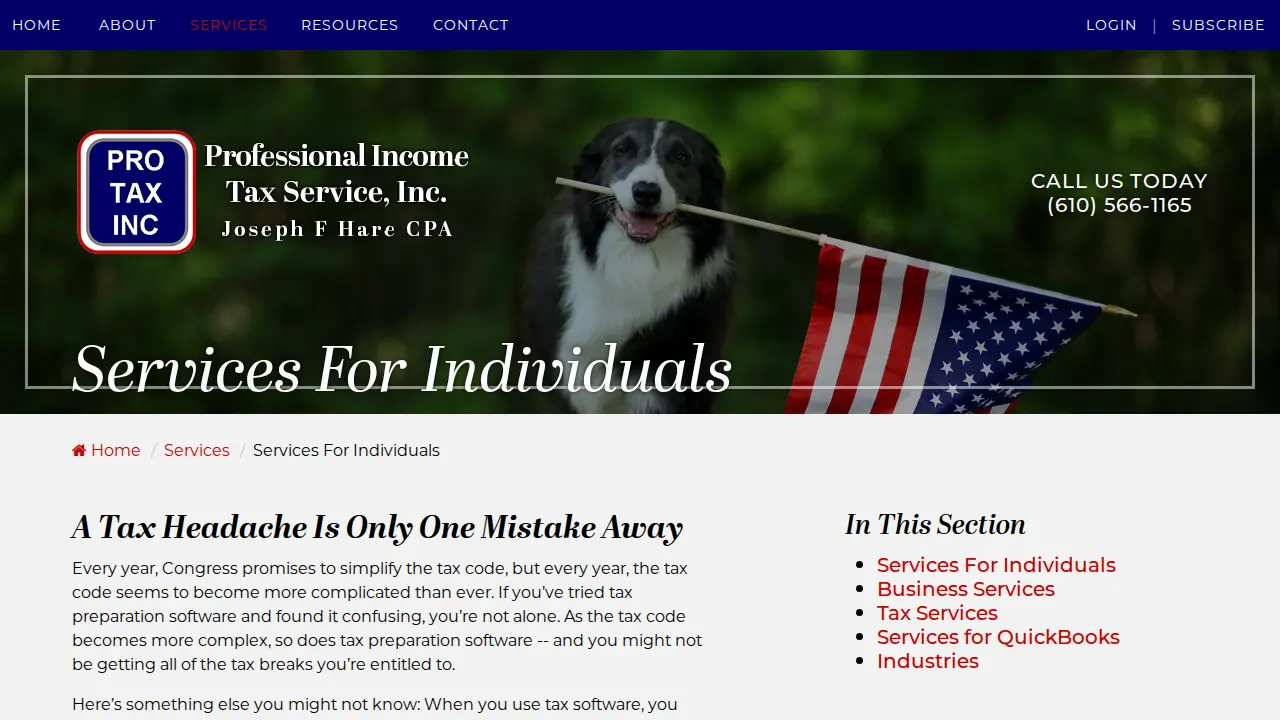 Professional Income Tax Service page
