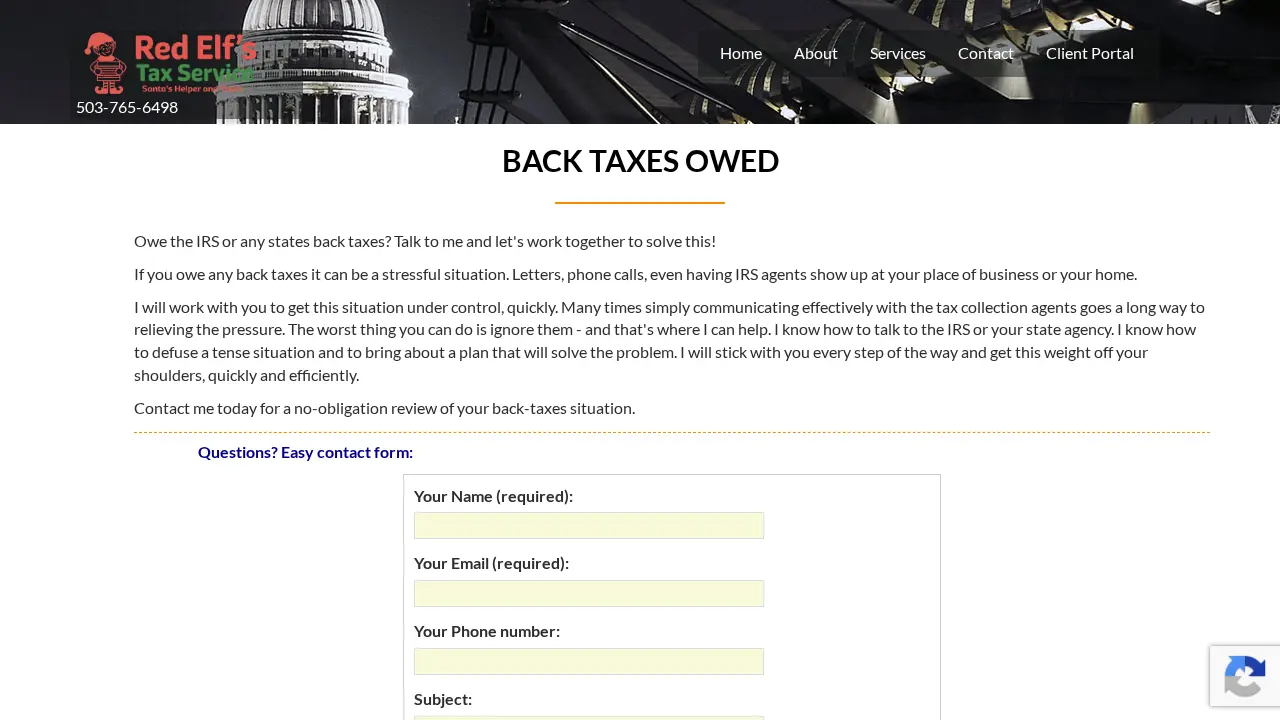 Red Elf's Tax Service page