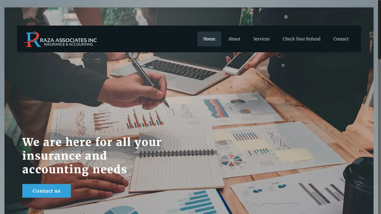 Raza Associates Inc. (Insurance & Accounting)