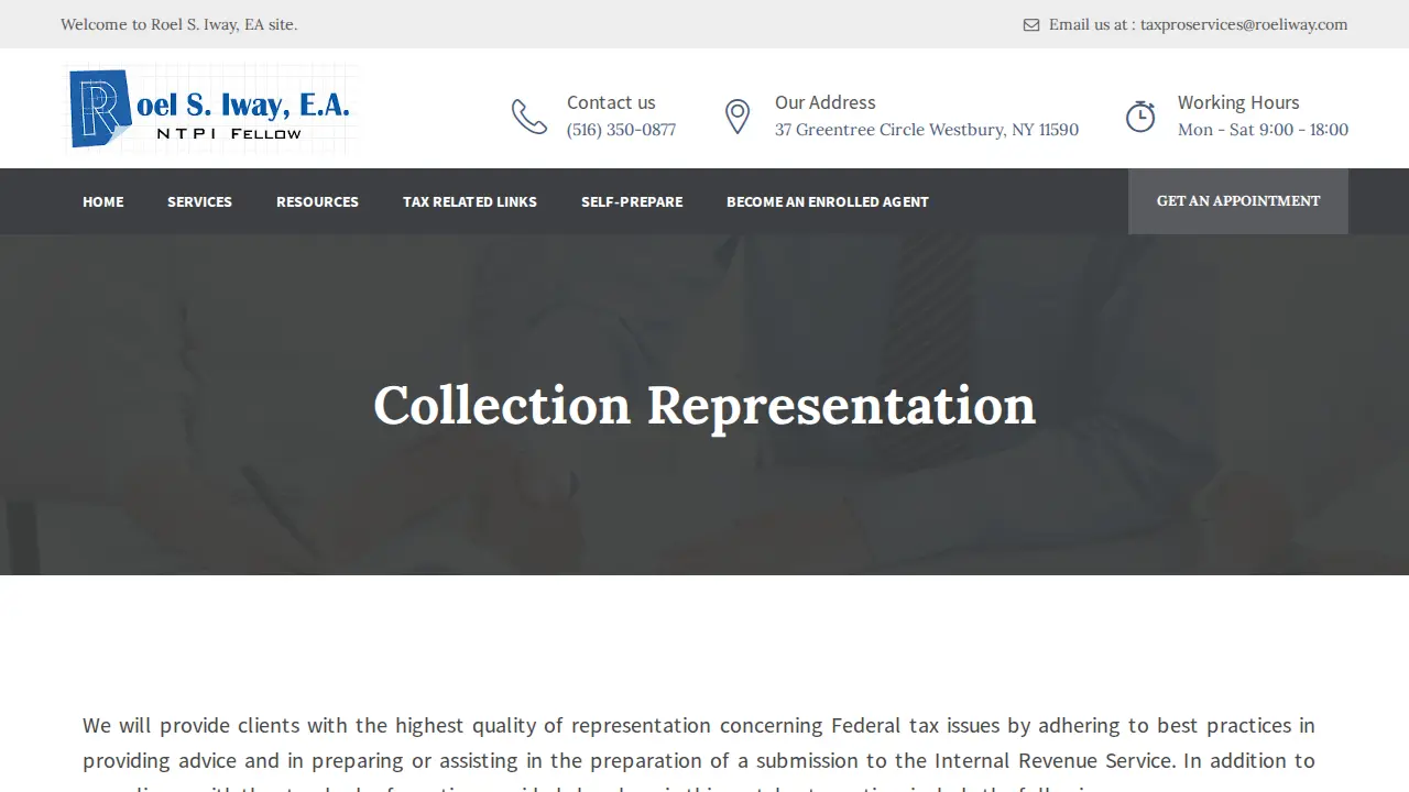 Roel Iway, EA - Accounting and Tax Preparation Services page