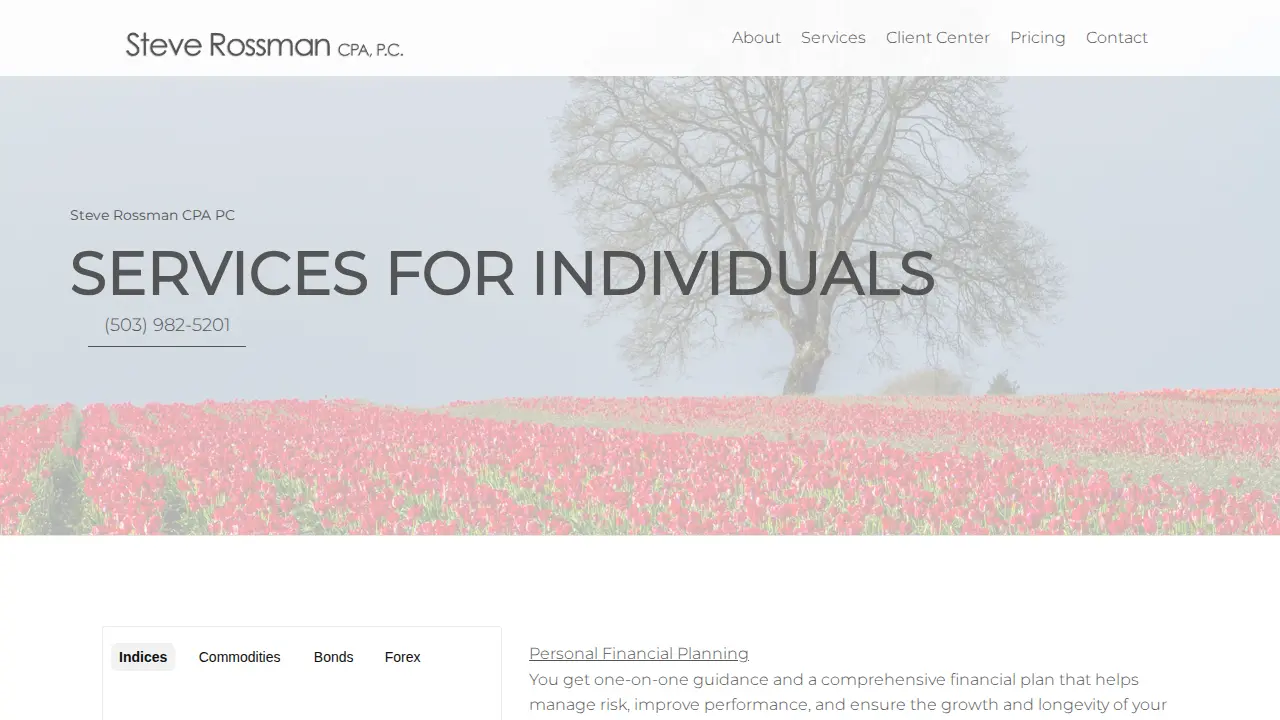 Steve Rossman Certified Public Accountant page