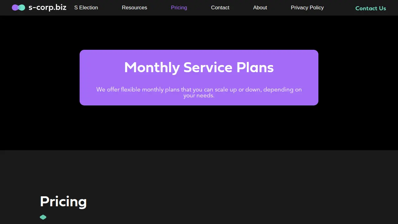 s-corp.biz page