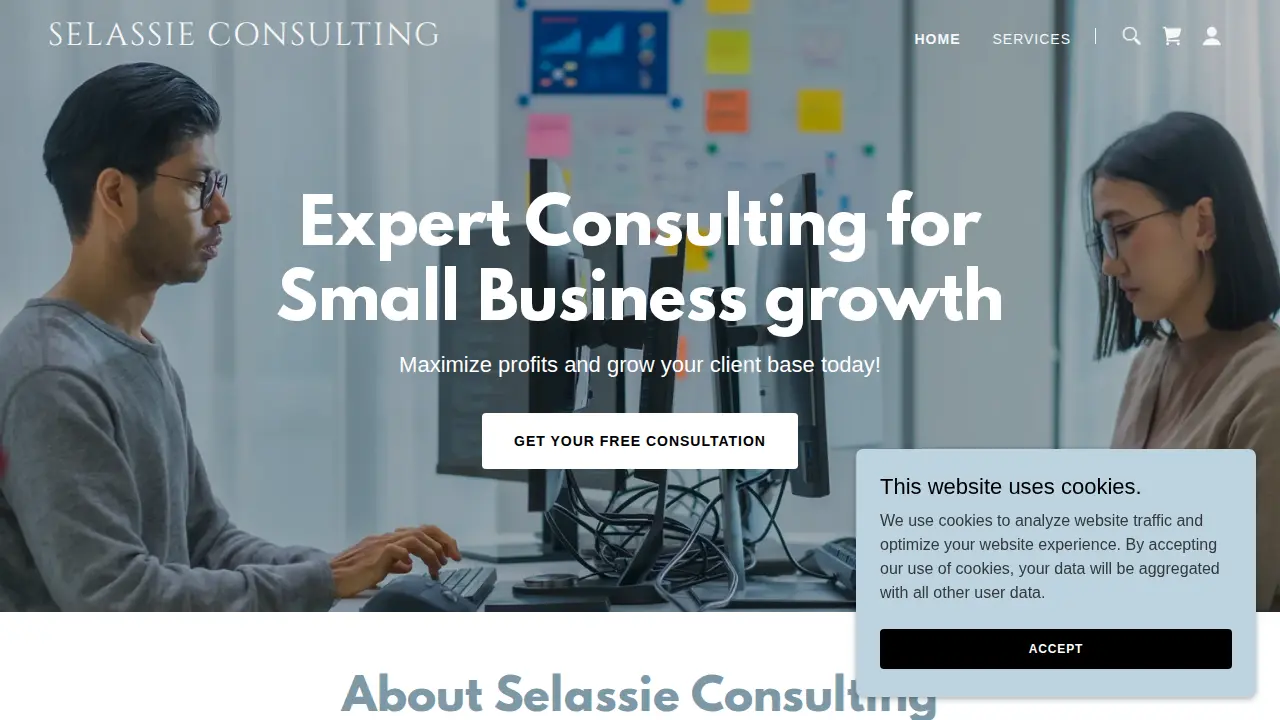 Selassie Consulting Services website