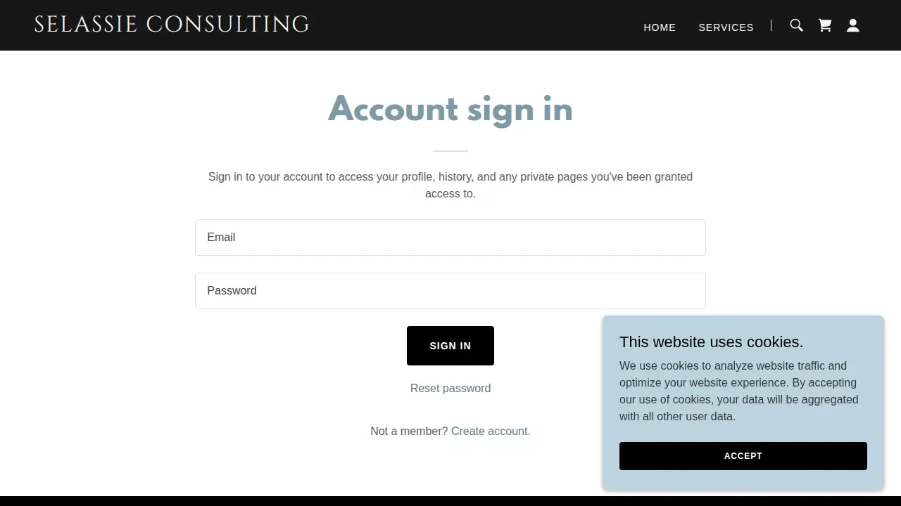 Selassie Consulting Services page