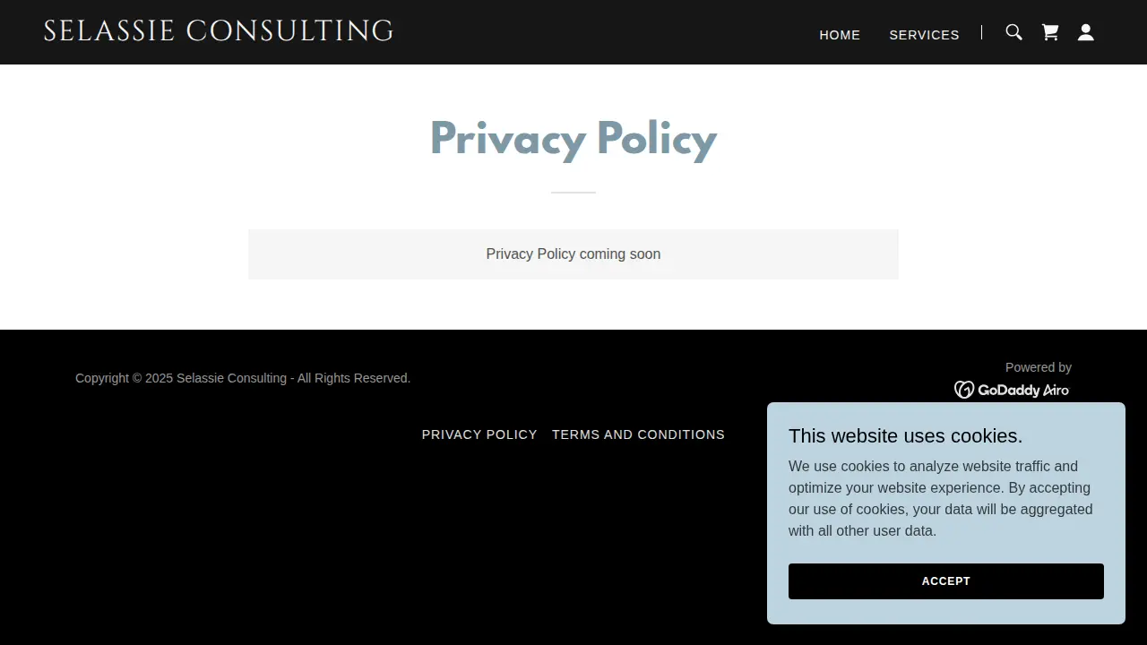 Selassie Consulting Services page