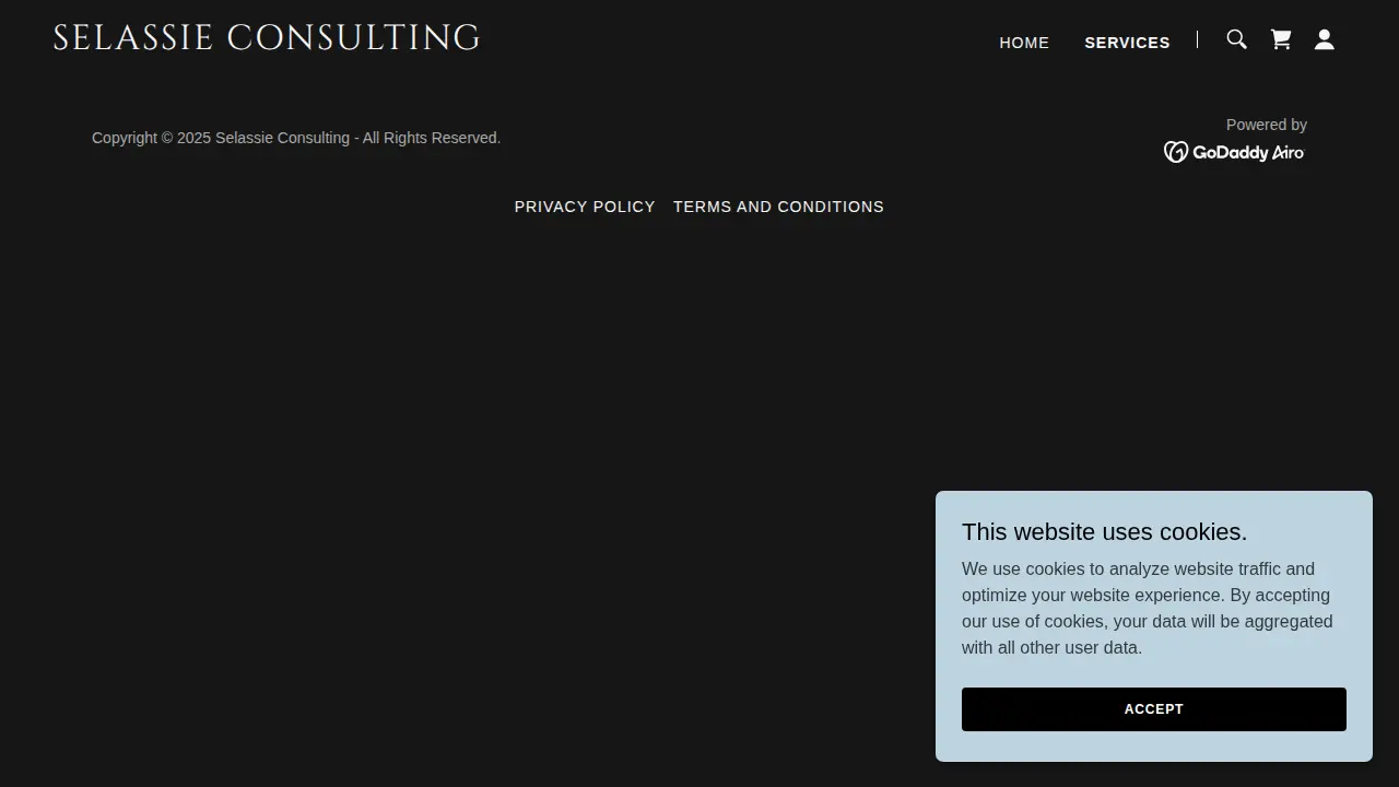 Selassie Consulting Services page