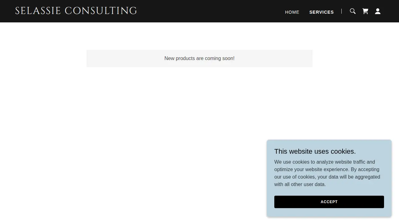 Selassie Consulting Services page