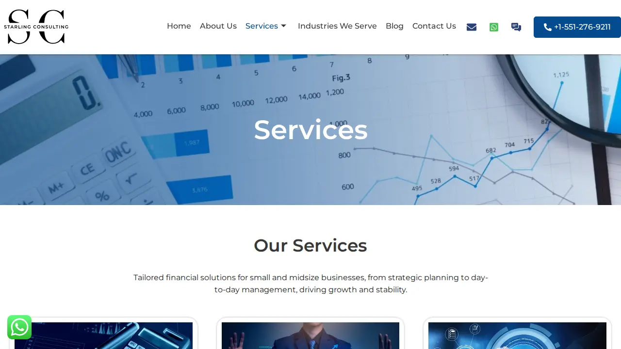 Starling Consulting LLC page