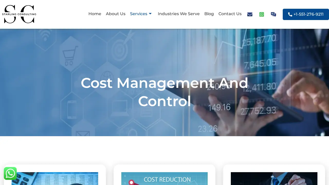 Starling Consulting LLC page