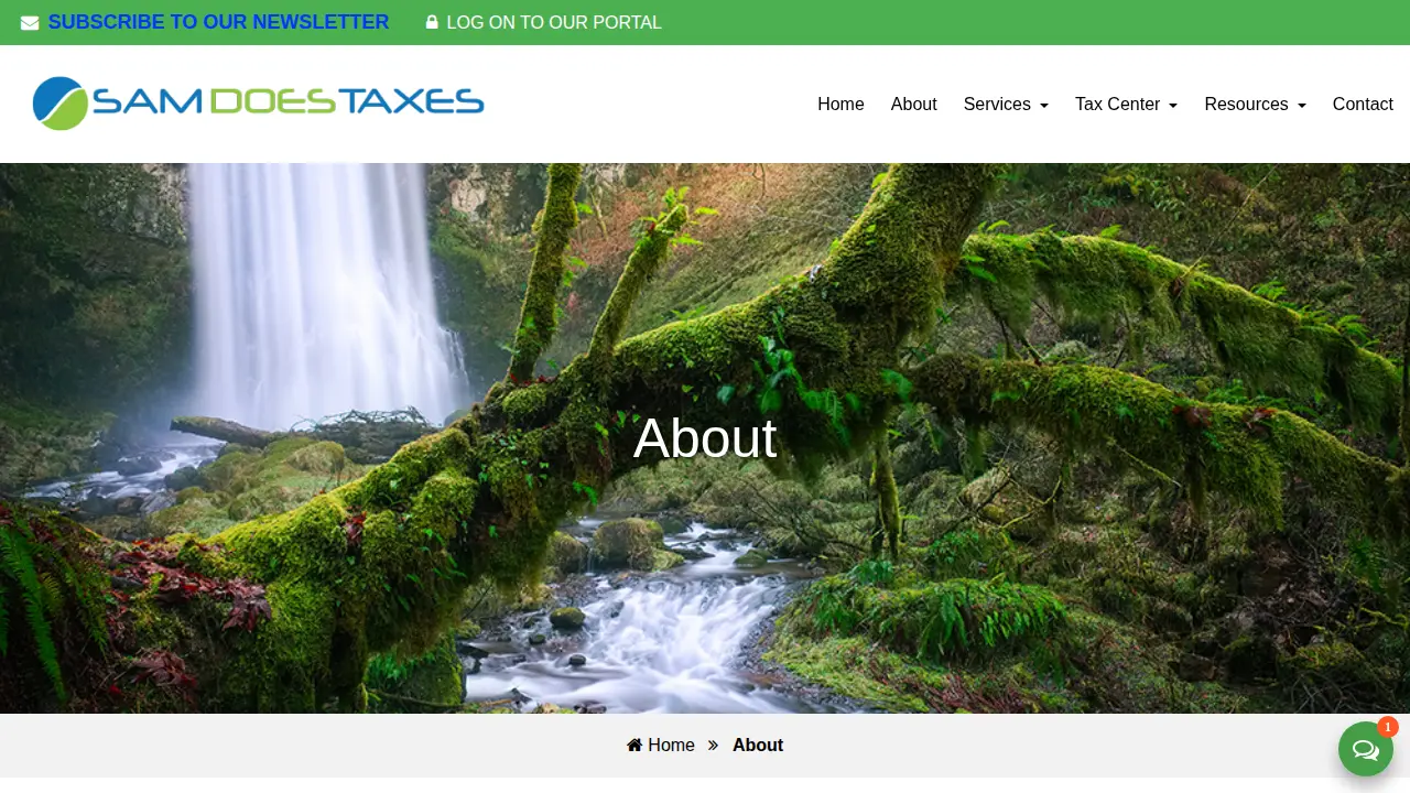 Sam Does Taxes page