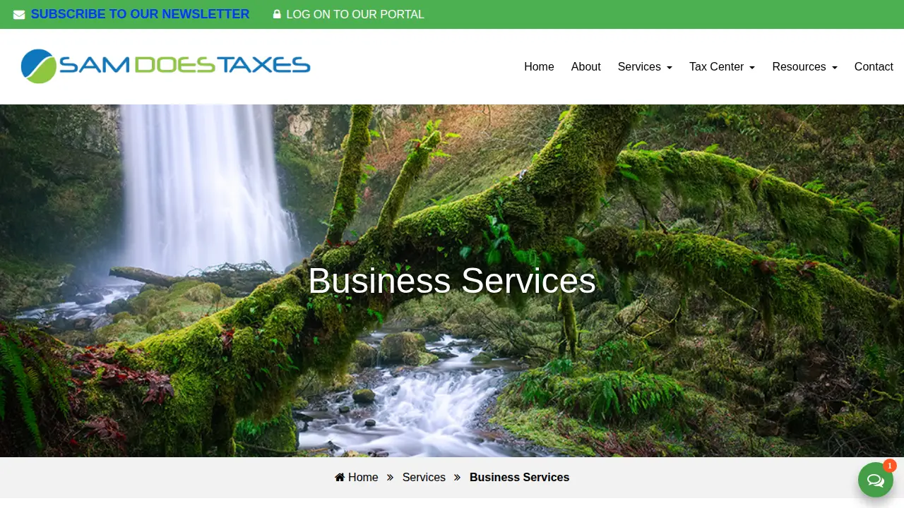 Sam Does Taxes page