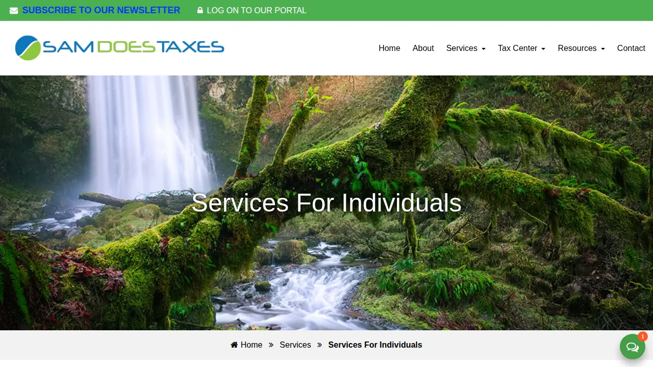Sam Does Taxes page