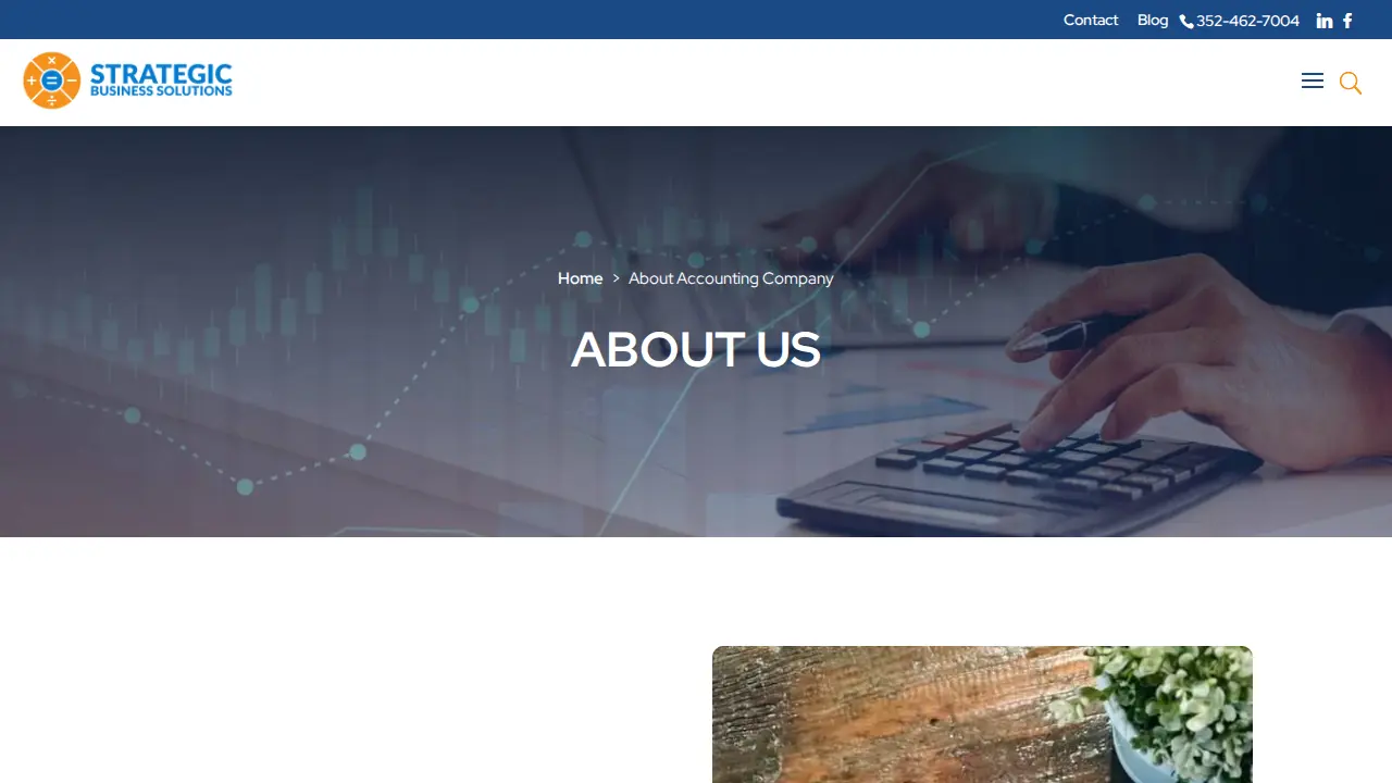 Strategic Business Solutions LLC page
