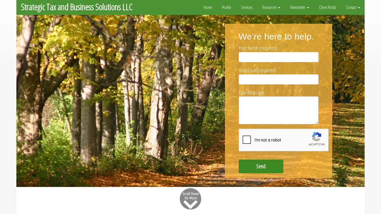 Strategic Tax and Business Solutions LLC - IRS Resolution Services page