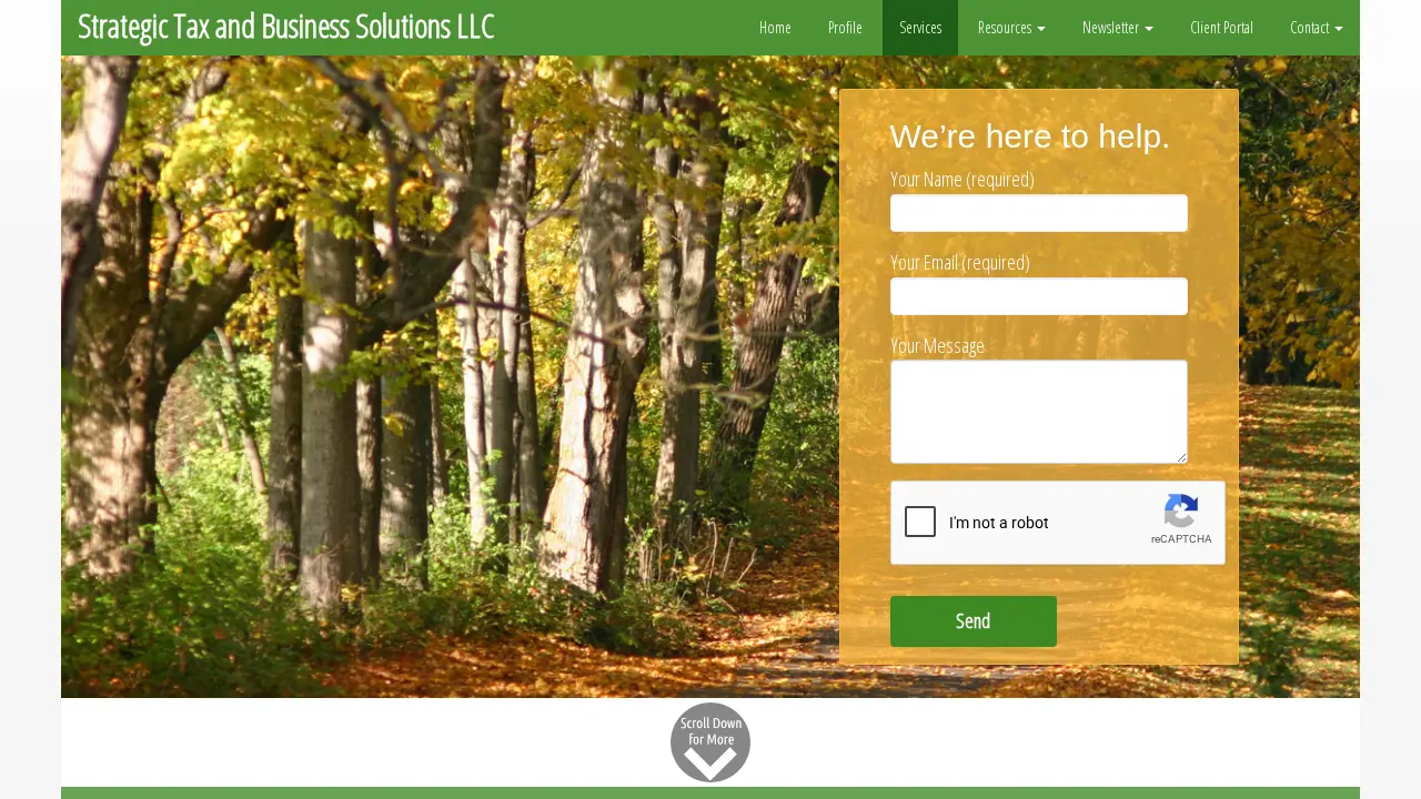 Strategic Tax and Business Solutions LLC - IRS Resolution Services page