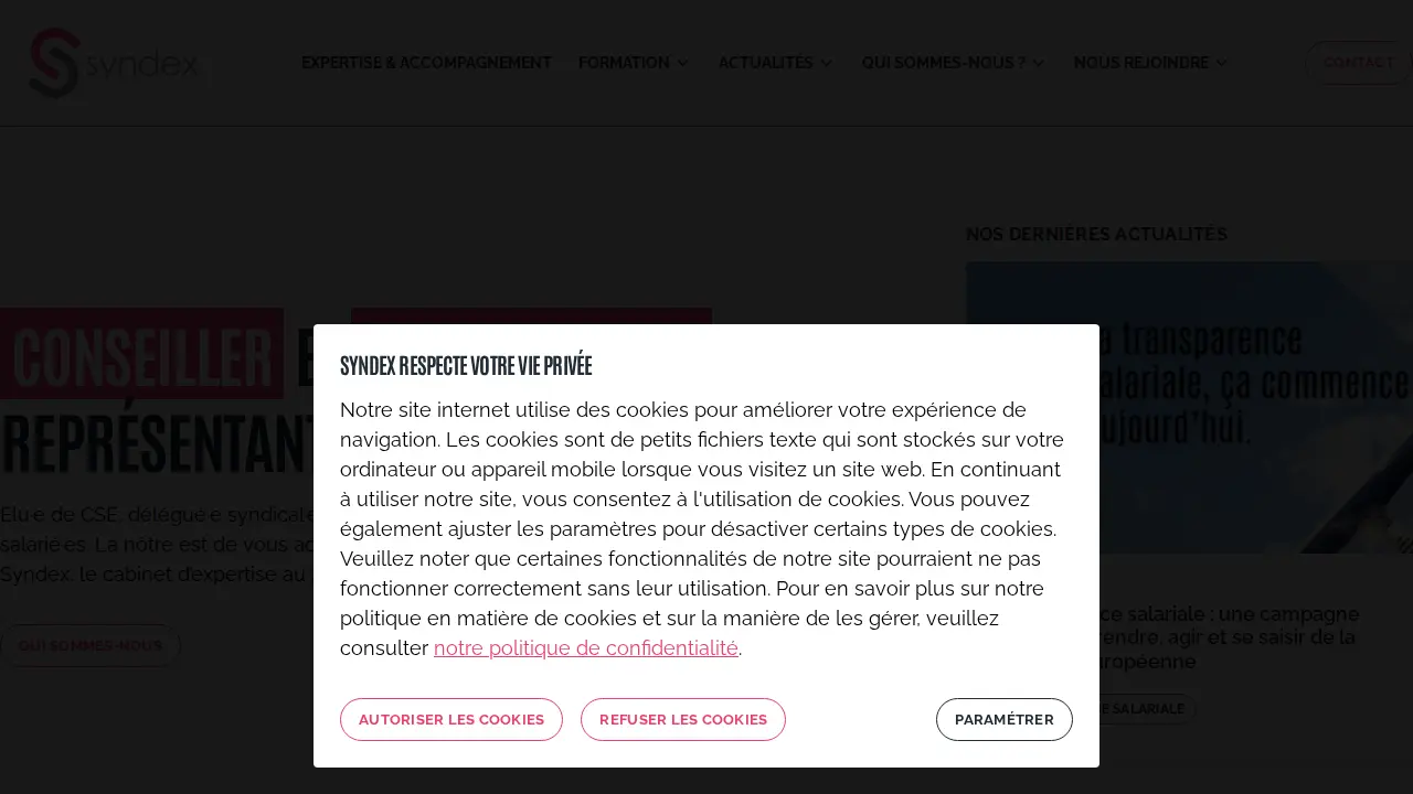 Syndex Consultores page