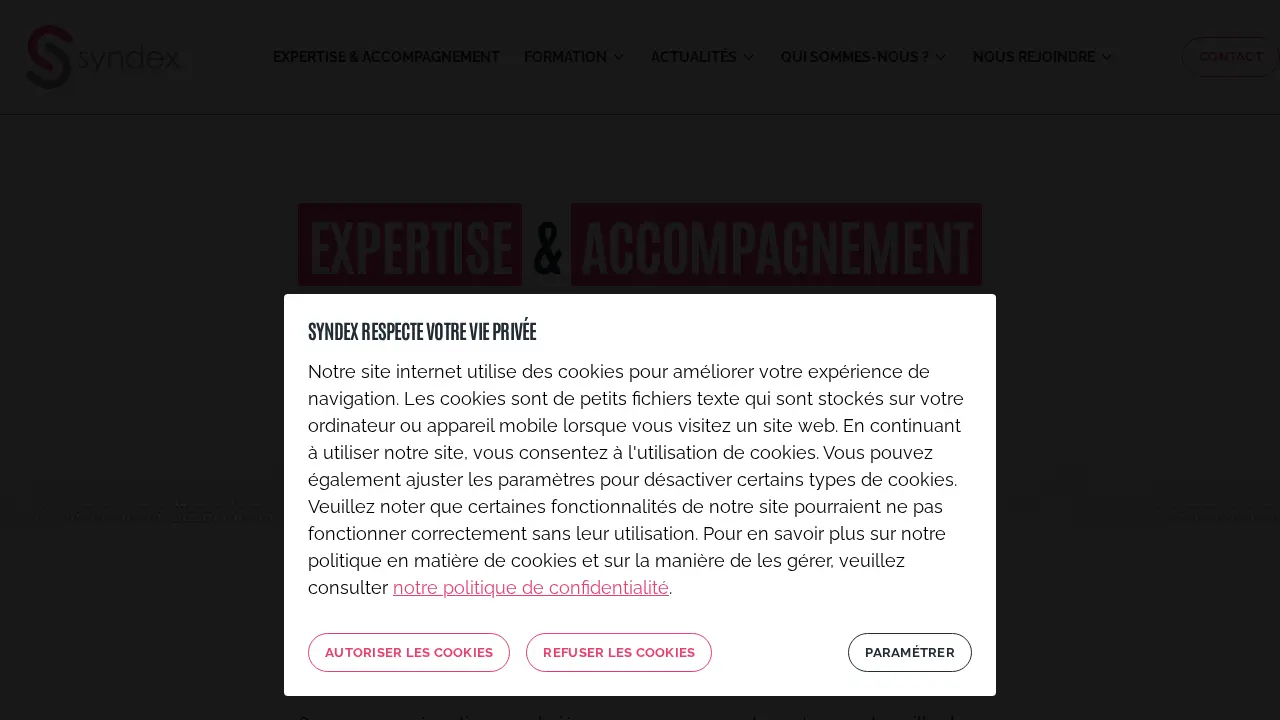 Syndex Consultores page