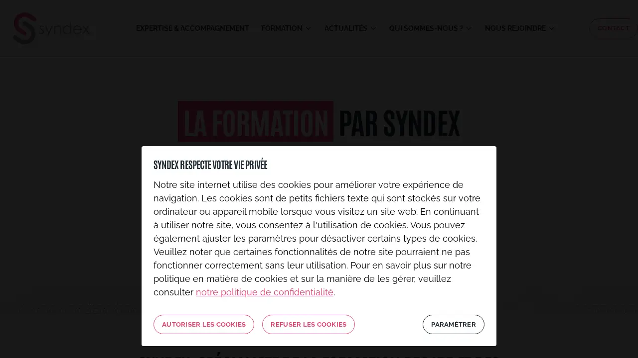 Syndex Consultores page