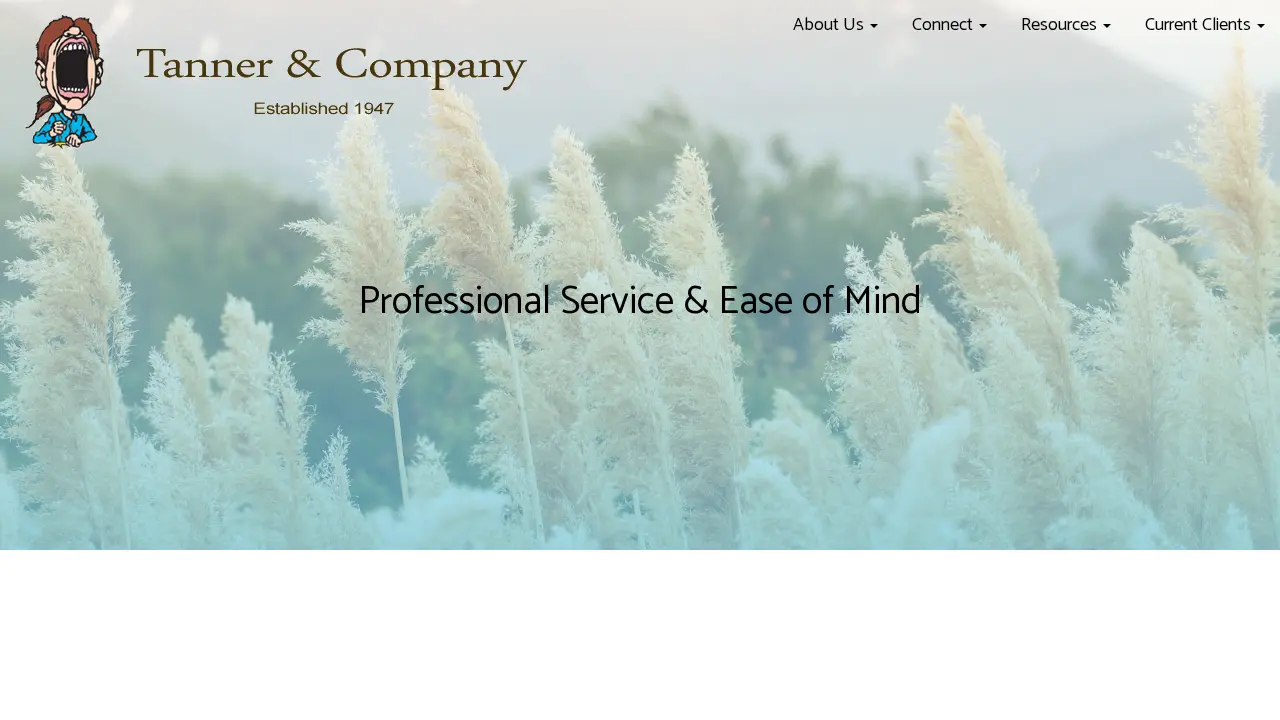 Tanner & Co Tax Services