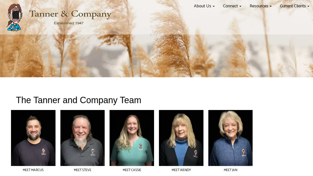 Tanner & Co Tax Services page
